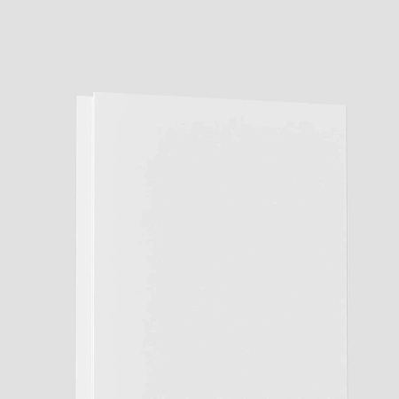 503 PLATTE (Плоская) HH MDF ECO 2760*122*12мм (7 шт) (122.503.91 Некрашенный)